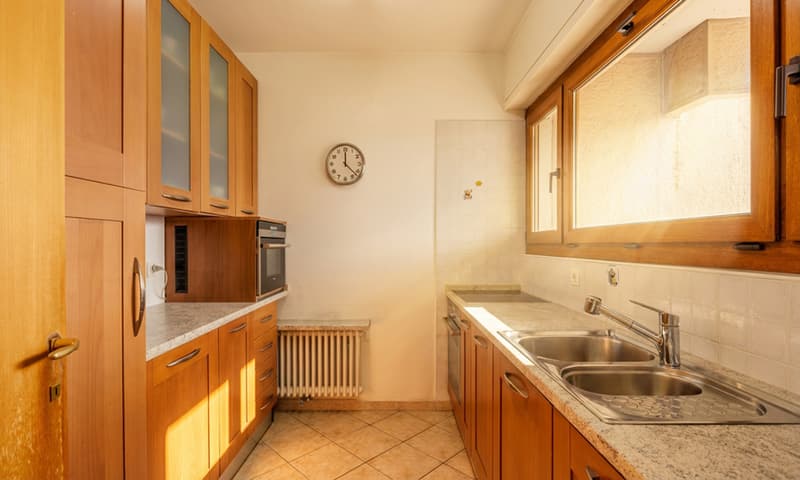 Splendide appartement 3.5 pièces meublé avec terrasse à Pazzallo (4)