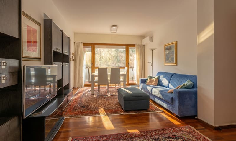 Splendide appartement 3.5 pièces meublé avec terrasse à Pazzallo (1)