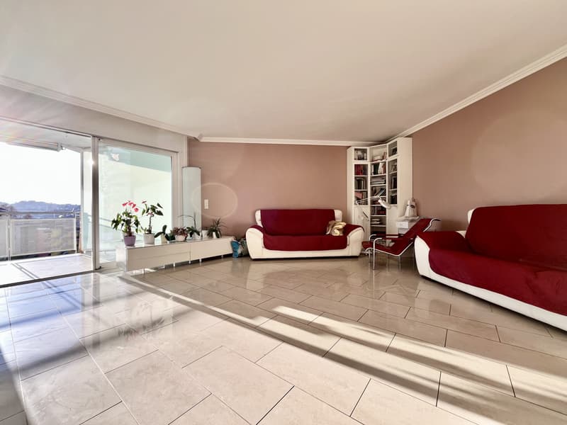 LUMINEUX APPARTMENT 3.5 AVEC GRANDE TERRASSE SUR LE TOIT À PREGASSONA (3)