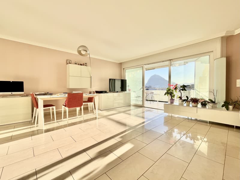 LUMINEUX APPARTMENT 3.5 AVEC GRANDE TERRASSE SUR LE TOIT À PREGASSONA (1)