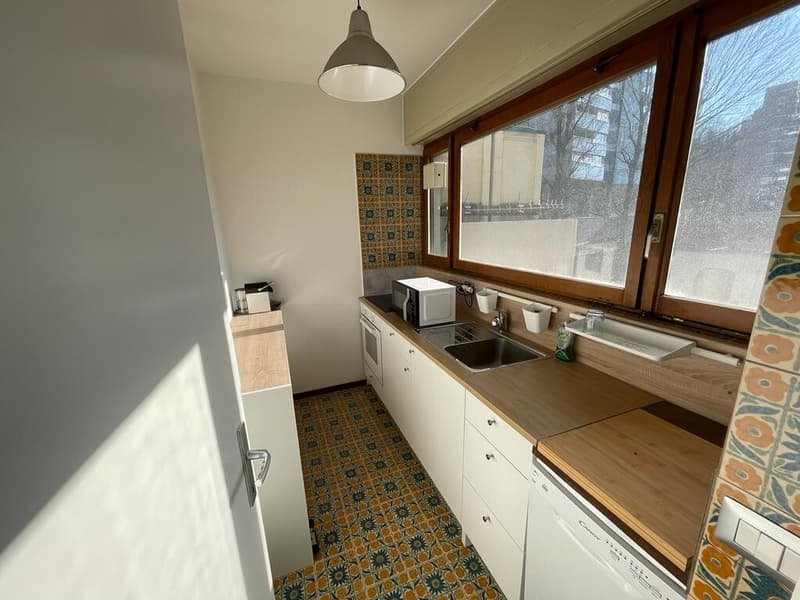 EXCELLENT INVESTISSEMENT - LUMINEUX 3.5 PIÈCES AVEC VUE OUVERTE SUR LUGANO (4)