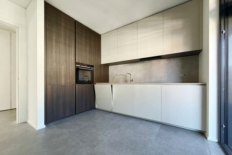 LOUER OU ACHETER - GRAND APPARTEMENT 4.5 PIÈCES AVEC 2 TERRASSES À VACALLO (5)