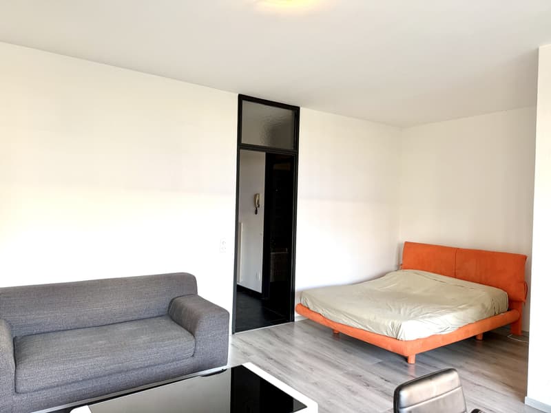 EXCELLENT INVESTISSEMENT À DEUX PAS DU CENTRE DE LUGANO (4)