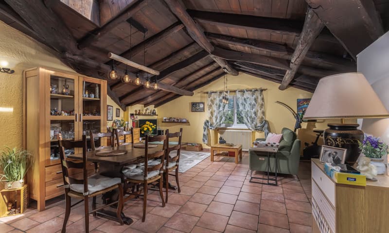 VASTE APPARTEMENT 3.5 PIÈCES AVEC GRANDE TERRASSE ET VUE DÉGAGÉE À CAPRIASCA (3)