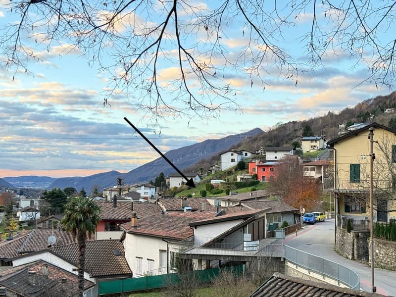 Baumwürdiges Bauland von 510 m² in optimaler Lage in Arogno (4)