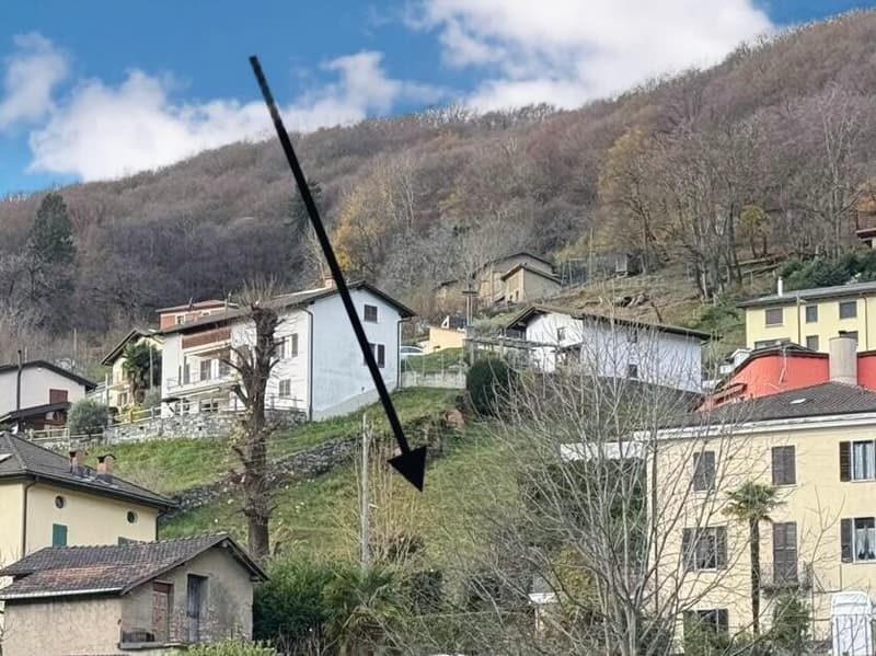 Baumwürdiges Bauland von 510 m² in optimaler Lage in Arogno (3)