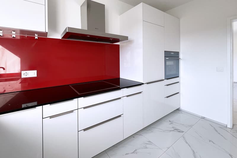 DEAL - BRIGHT 4.5 RENOVATED APARTMENT WITH TERRACE IN GRAVESANO (5)