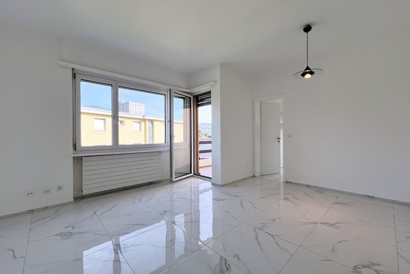 DEAL - BRIGHT 4.5 RENOVATED APARTMENT WITH TERRACE IN GRAVESANO (3)