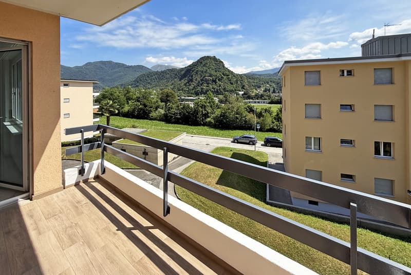 DEAL - BRIGHT 4.5 RENOVATED APARTMENT WITH TERRACE IN GRAVESANO (2)