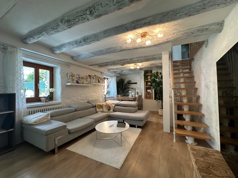 Beautiful 4.5 Charm House with Garden and Pool in Roveredo (1)