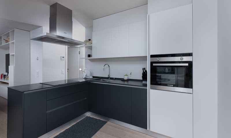 Appartement 3.5 pièces merveilleux avec terrasse et vue sur le lac à Riva San Vitale (5)