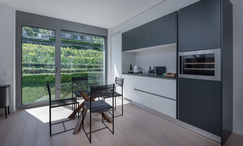 Appartement 3.5 pièces merveilleux avec terrasse et vue sur le lac à Riva San Vitale (2)