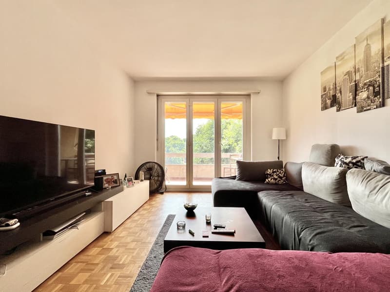 Sunny 3.5-room apartment with panoramic view in Savosa (3)
