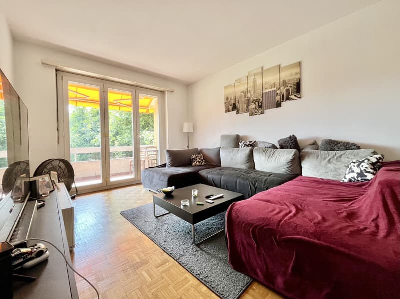 Sunny 3.5-room apartment with panoramic view in Savosa (2)