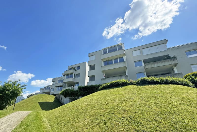 STUPENDOUS AND SPACIOUS 4.5-ROOM APARTMENT WITH LAKE VIEW IN GREEN AREA IN CARONA (7)