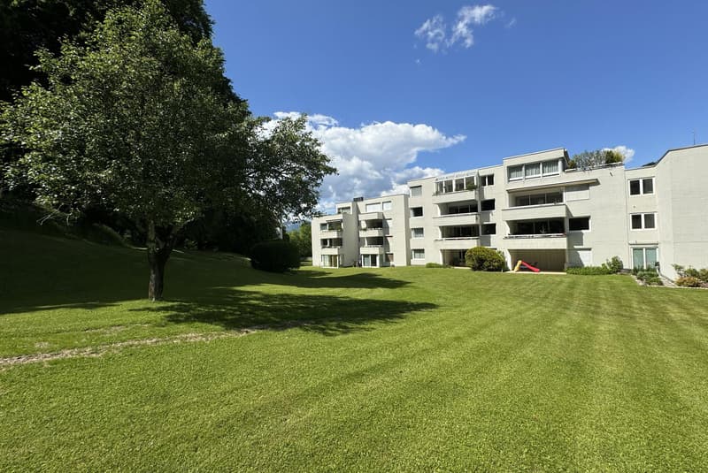 STUPENDOUS AND SPACIOUS 4.5-ROOM APARTMENT WITH LAKE VIEW IN GREEN AREA IN CARONA (1)