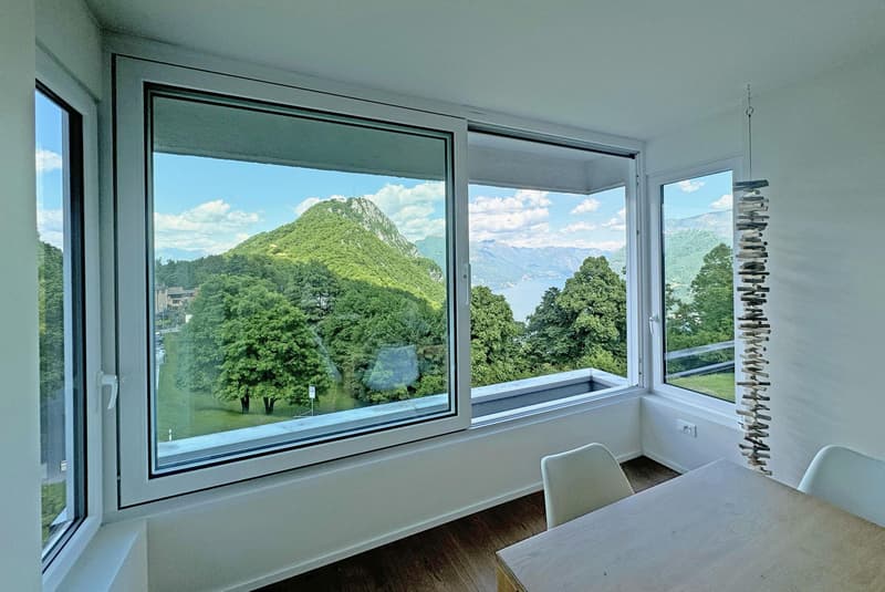 STUPENDOUS AND SPACIOUS 4.5-ROOM APARTMENT WITH LAKE VIEW IN GREEN AREA IN CARONA (5)