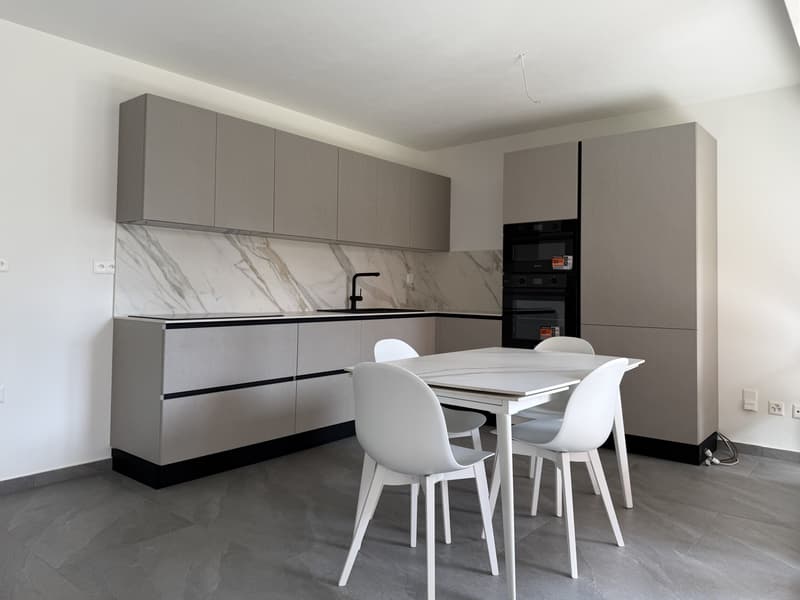 Beautiful 3.5 rooms like new with terrace in Mendrisio (2)