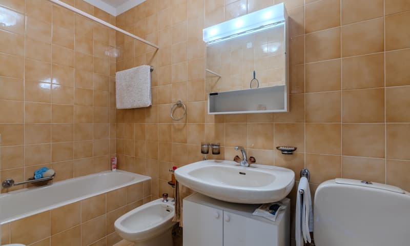 STUNNING 3.5 ROOM APARTMENT WITH LAKE VIEW IN LUGANO PARADISO (6)