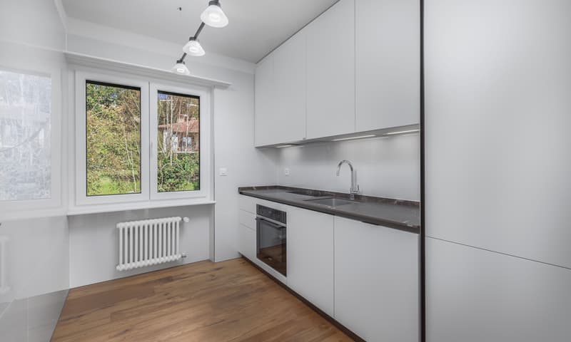 STUPENDOUS AND ELEGANT 4.5 ROOM APARTMENT LIKE NEW IN STABIO (1)