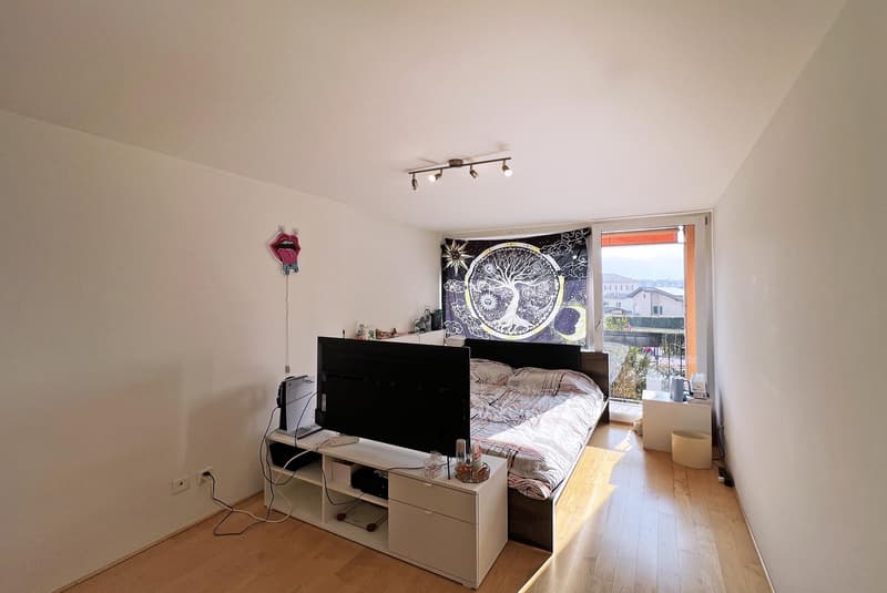 Duplex spacieux 3.5 pièces avec jardin privé à Agno (9)