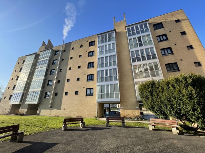 LOUER ACHAT - LUMINEUX 3.5 PIÈCES DE 90 M² À BALERNA (8)