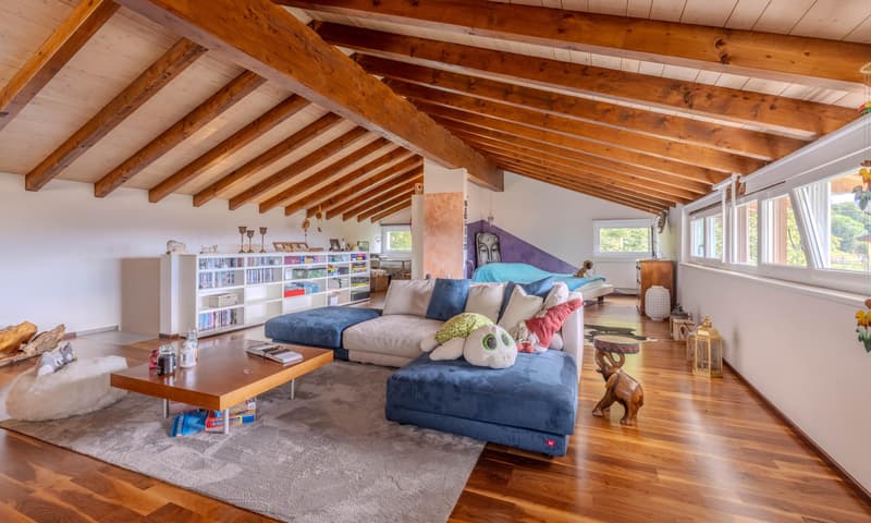 Belle et grande maison de 6.5 pièces avec jardin à Miglieglia (1)
