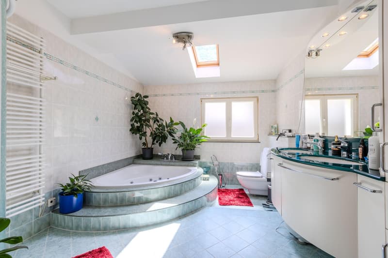 Villa bifamiliale spacieuse 6.5 avec jardin à Carabbia (10)
