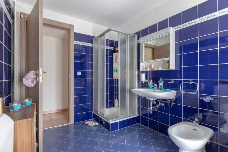 Bel appartement 2.5 pièces avec cheminée à Curio (7)