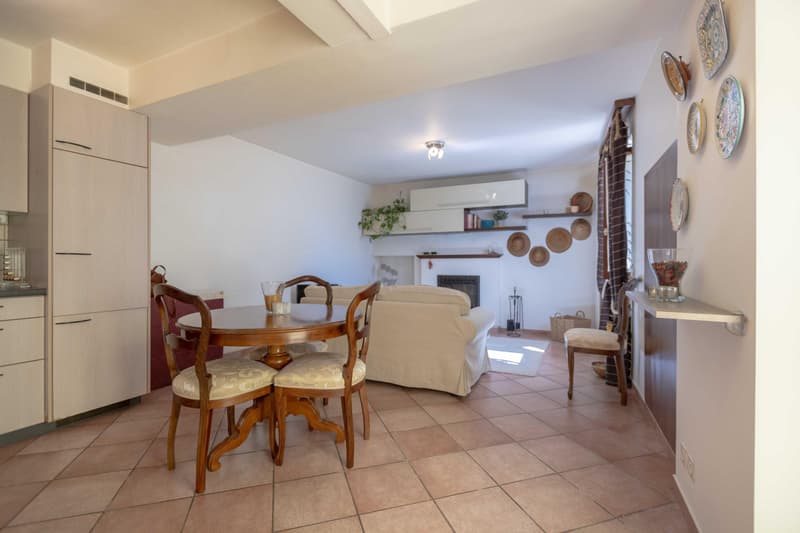 Bel appartement 2.5 pièces avec cheminée à Curio (5)
