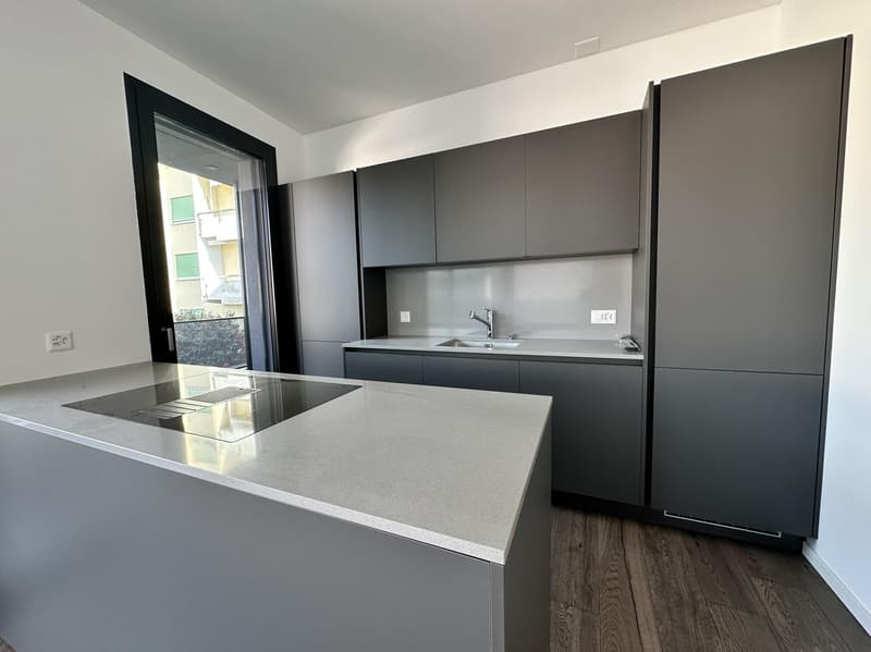 STUPENDIEUX ET MODERNE 2.5 PIÈCES AVEC GRANDE TERRASSE À CANOBBIO (1)