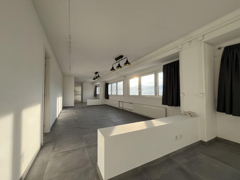 Büro-Atelier Gewerberaum in Bedano zu vermieten (3)