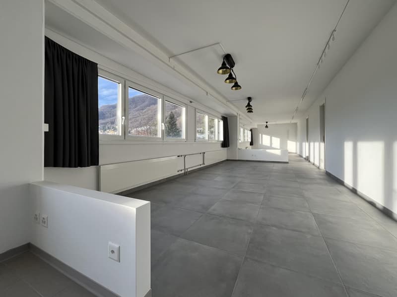 Büro-Atelier Gewerberaum in Bedano zu vermieten (1)