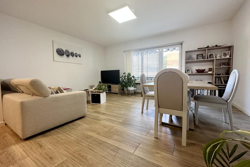 Bel appartement 4.5 pièces comme neuf à Lugano Breganzona (6)