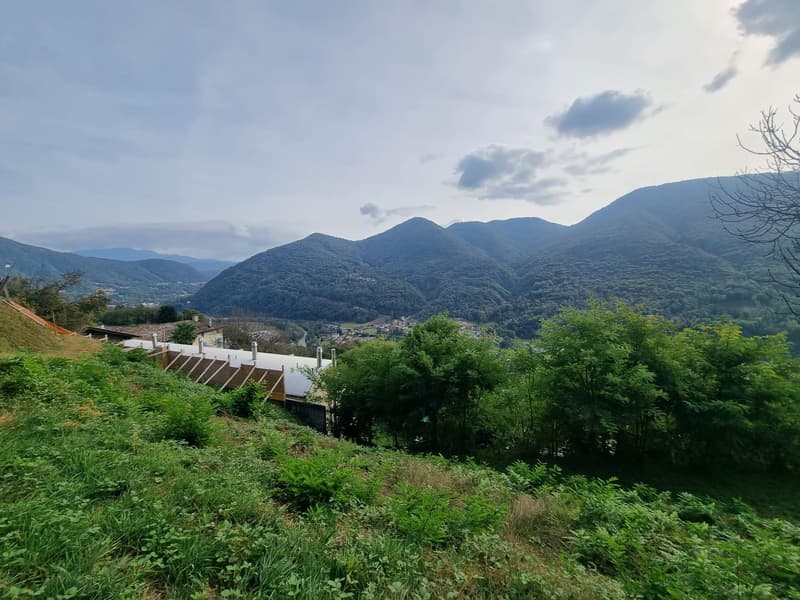 Baugrundstück von 2567 m² mit freier Aussicht in Monteggio (2)