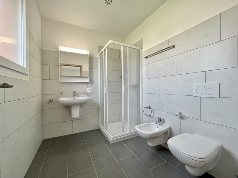 AFFITTASI SPLENDIDO 4.5 LOCALI DUPLEX CON TERRAZZA A STABIO (7)