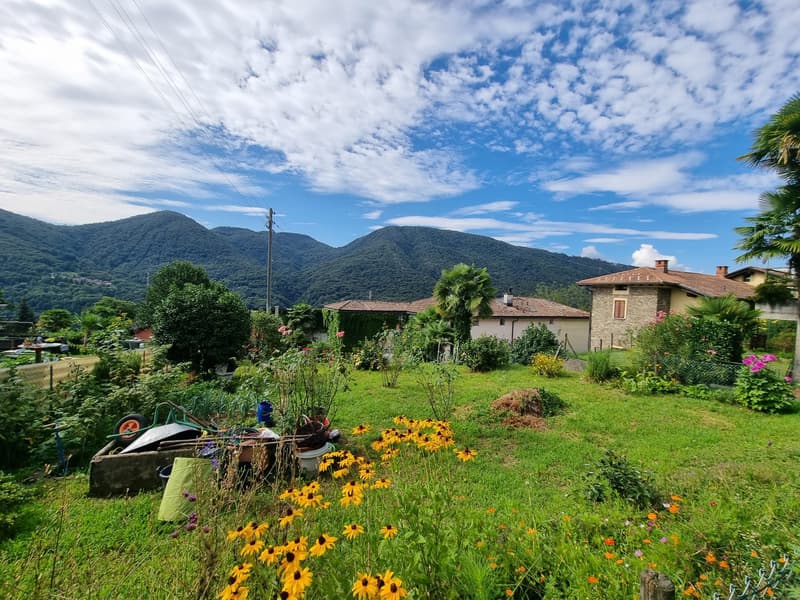 Schönes Baugrundstück mit Projekt in Monteggio (4)
