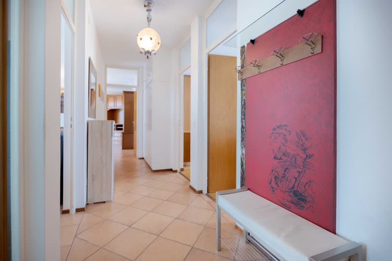 Affaire - Grand appartement de 3,5 pièces meublé avec 2 balcons à Balerna (8)