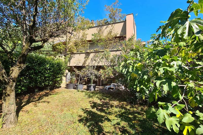 Maison accueillante de 5.5 pièces immergée dans le vert à Melano (10)