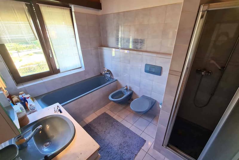 Maison accueillante de 5.5 pièces immergée dans le vert à Melano (8)