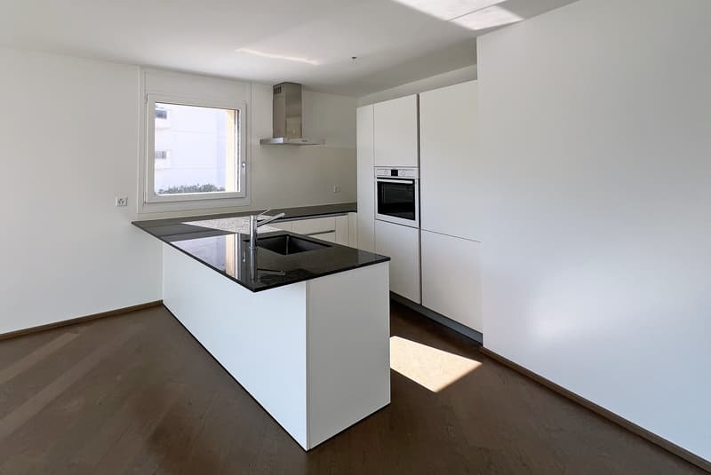 Appartement spacieux et lumineux 4.5 pièces avec toit-terrasse et vue sur le lac à Melide (3)