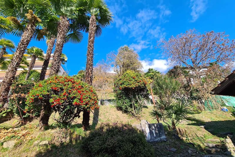 GUTES GESCHÄFT - GROßES BAUGRUNDSTÜCK MIT SEEVIEW IN LOCARNO (3)
