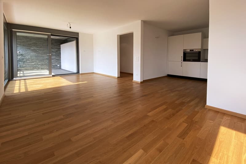 APPARTEMENT LUMINEUX ET MODERNE 4.5 PIÈCES AVEC GRANDE TERRASSE À MENDRISIO CENTRE (3)