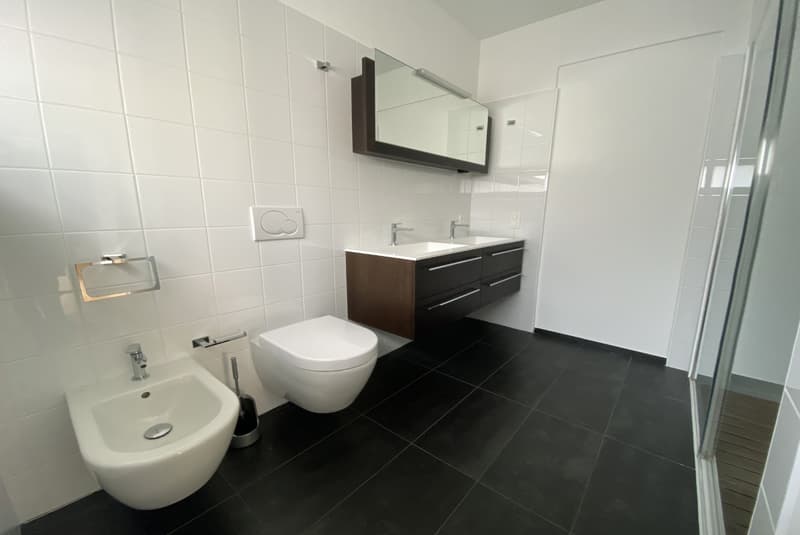 APPARTEMENT LUMINEUX ET MODERNE 4.5 PIÈCES AVEC GRANDE TERRASSE À MENDRISIO CENTRE (8)