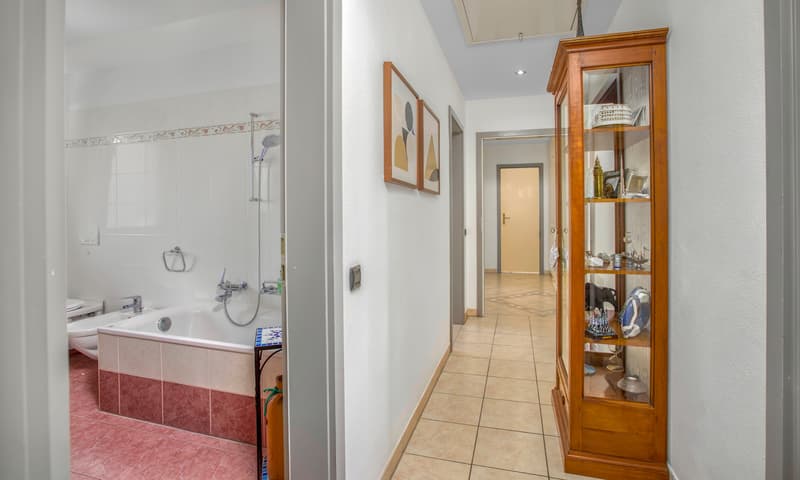 LUMINEUX APPARTMENT 4.5 AVEC TERRASSE ET JARDIN À SEMENTINA (5)