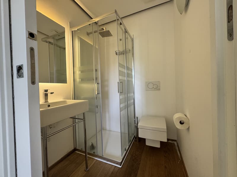 Zu vermieten 2.5-Zimmer-Wohnung mit Garten, Pool und Seeblick in Bissone (5)
