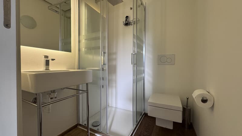 Zu vermieten 2.5-Zimmer-Wohnung mit Garten, Pool und Seeblick in Bissone (9)