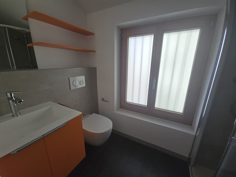 Belle maison rénovée 4.5 pièces avec vue sur le lac à Cademario (7)