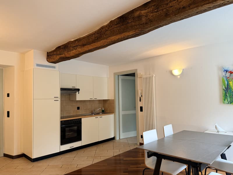 Louez des appartements de deux pièces splendides dans un palais historique à Morcote (2)