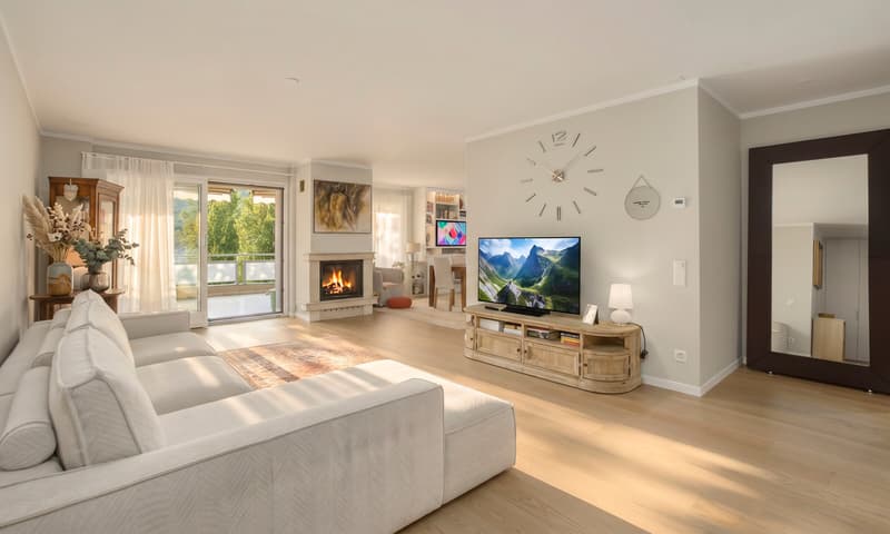 Wonderful and modern 3.5-room apartment with beautiful terrace in Vezia (1)